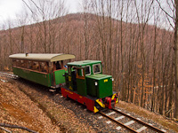 A Nagybörzsönyi Erdei Vasút C50 3756 Vetettfű és Füstös forrás között