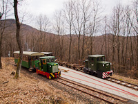 A Nagybörzsönyi Erdei Vasút C50 3756 és C50 3737 Füstös forrás állomáson