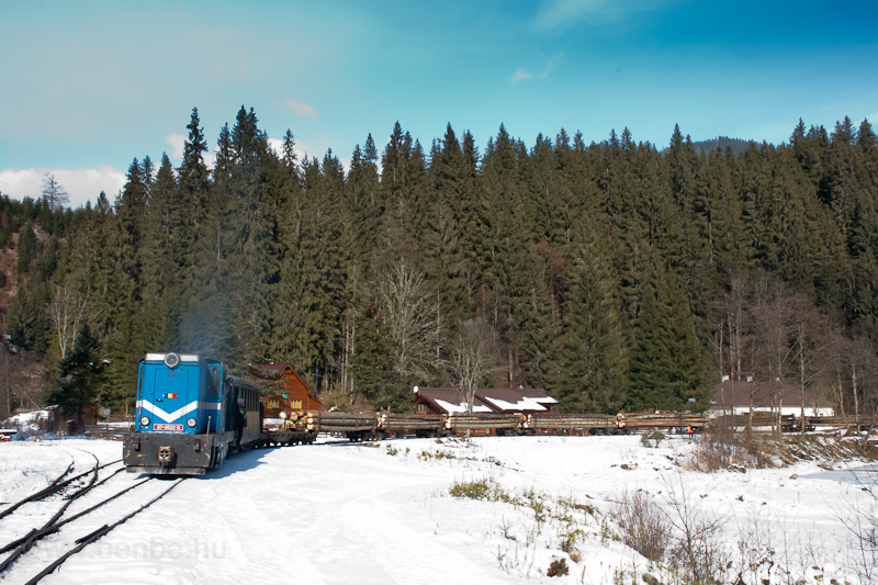 The loaded logging freight  photo