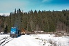 A CFF Viseu / Felsővisói Erdei Vasút rakott tehervonata 87-0032-0 Faina megálló-rakodóhelyen