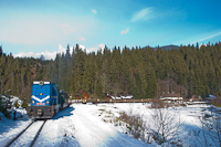 A CFF Viseu / Felsővisói Erdei Vasút rakott tehervonata 87-0032-0 Faina megálló-rakodóhelyen