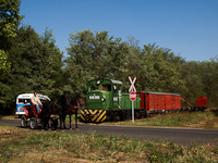 Road-rail level crossing near Erdészlak