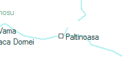 Paltinoasa szolgálati hely helye a térképen