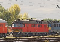 kép