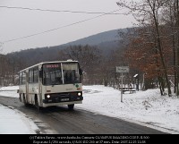 A regular bus service arrives at Vinye