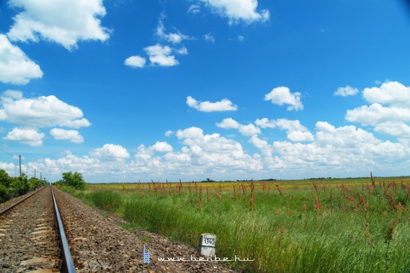 The previously shown flowery field seen from the enbankment of the railway photo