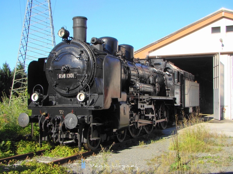 The BB steam locomotive 638.1301 at Wrgl depot photo