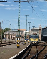 kép