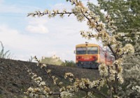 A Bzmot, flowers and the castle of Smeg