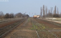 kép