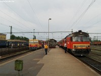 kép