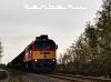M62 317 Nagyigmánd-Bábolna után