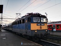 kép