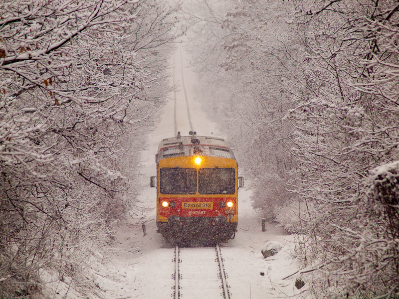 The MV-START Bzmot 313 seen between Fenyveshegy and Magyarkt-Verőce photo