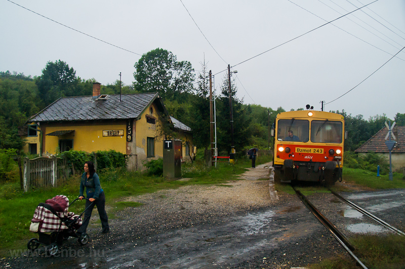 The MV Bzmot 243 seen at Drgely photo