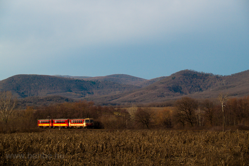 The MV Bzmot 341 seen between Disjenő and Borsosberny photo