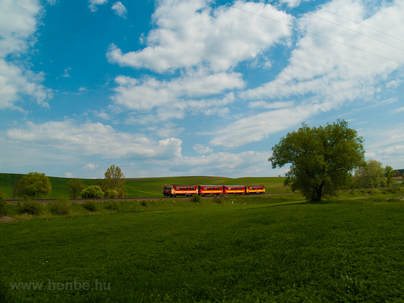 An unidentified Bzmot seen between Acsa-Erdőkrt and Galgagyrk photo