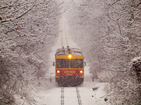 The MV-START Bzmot 313 seen between Fenyveshegy and Magyarkt-Verőce