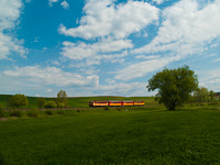 An unidentified Bzmot seen between Acsa-Erdőkrt and Galgagyrk