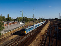 kép