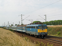 kép