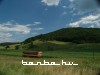 Bzmot 248 Putnok és Királd között