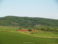 kép