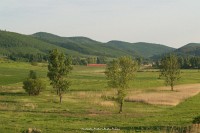 kép