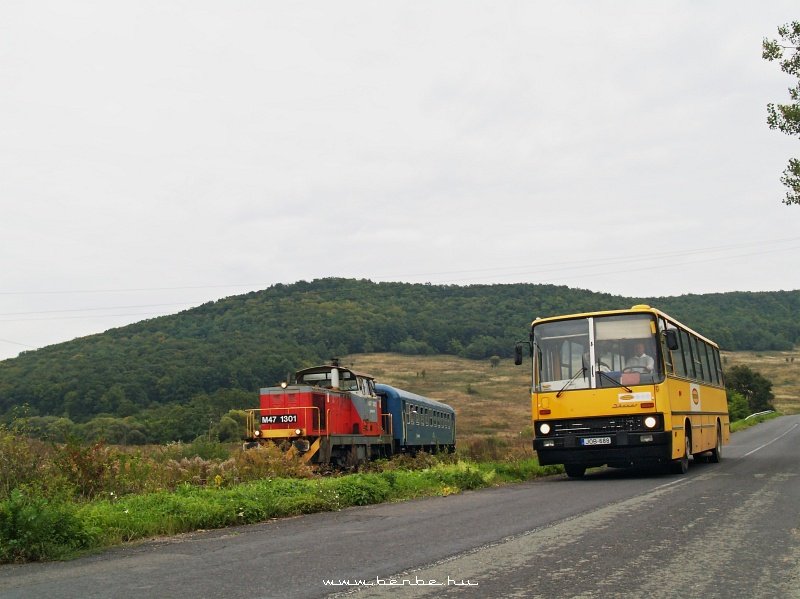 M47 1301 s egy Ik260-as helykzi autbusz Sajmercse megllhelyen fot