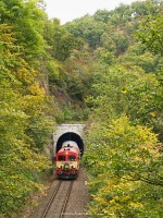 The M41 2163 emerging from a tunnel at Szarvaskõ