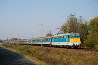 kép