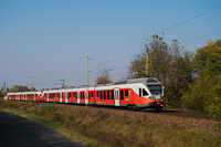 kép