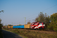 The Trans Log Slovakia 242 243-4 seen between Monorierdő and Pilis