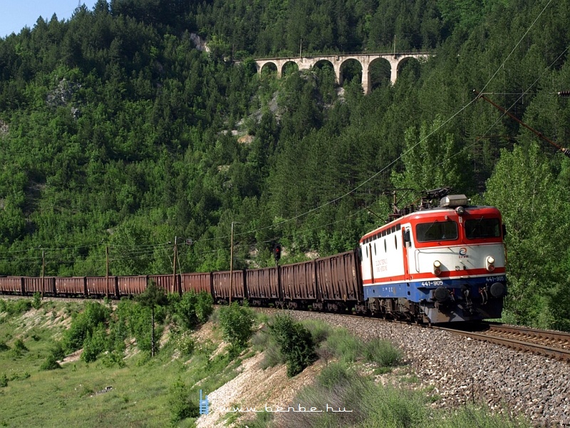 The 441-905 with a freight train at Ovcari station photo