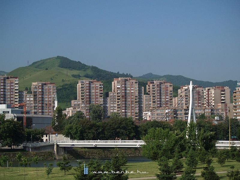 Zenica fot