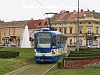 A tram at Eszék (Osijek) in the hedge mase