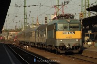 kép