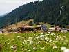 The MOB Bt 244/Be 4/4 5004 seen between Saanen and Rougemont