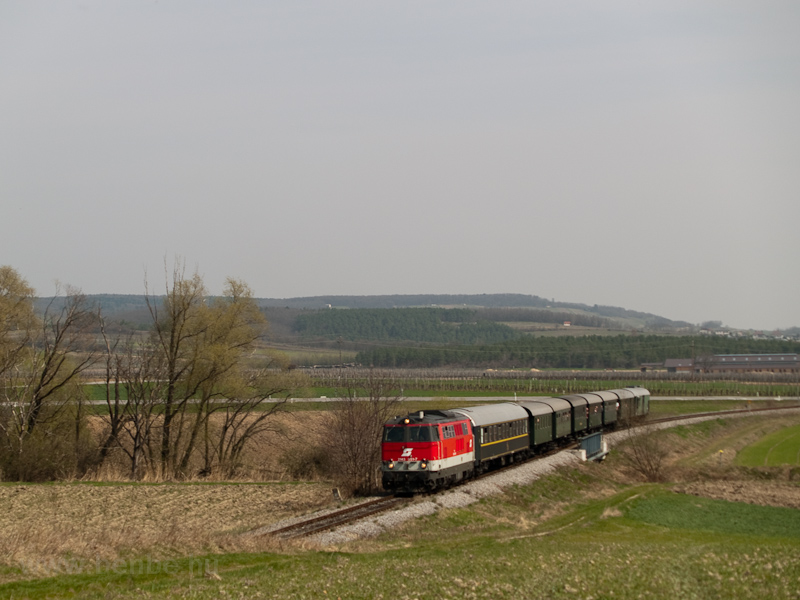 The BB 2143 051-7 is seen hauling a historic train between Sopronnyk-Haracsony (Neckenmarkt-Horitschon, Austria) and Doborjn-Lakfalva (Raiding-Lackendorf, Austria) photo