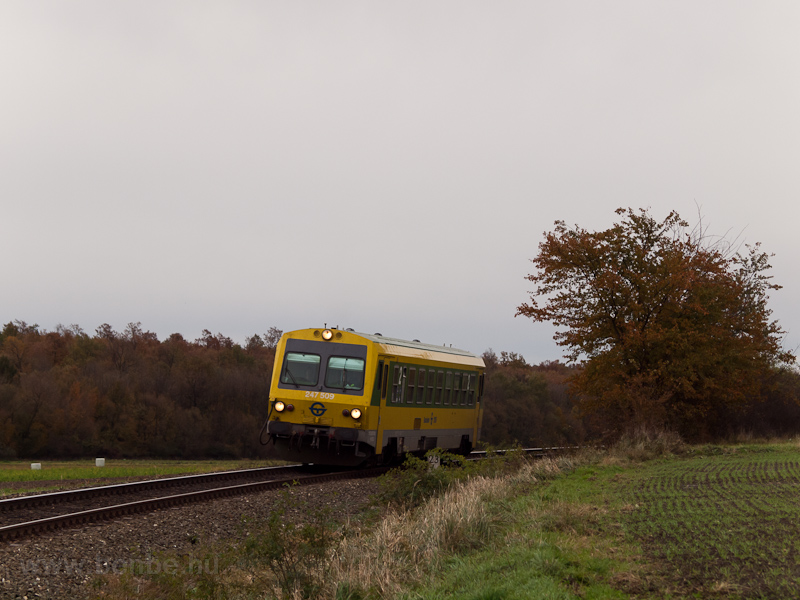 The GYSEV's green-yellow 247 509 is seen between Lpesfalva and Frakn photo
