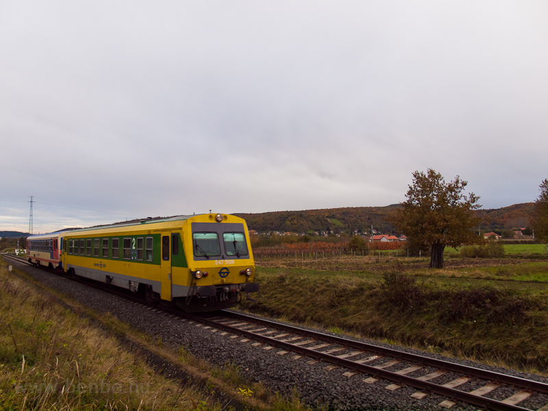 A GYSEV 247 509 Ágfalva és Lépesfalva-Somfalva között fotó