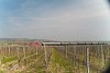 The BB 2143 051-7 is seen hauling a historic train between Sopronkeresztr (Deutschkreutz, Austria) and Sopronnyk-Haracsony (Neckenmarkt-Horitschon, Austria)