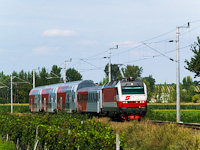 Az ÖBB 1014 013-5 ingavonattal Barátudvar-Féltorony (Mönchhof-Halbturm, Ausztria) és Boldogasszony (Frauenkirchen, Ausztria) között