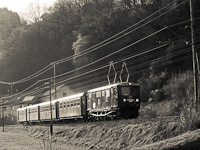 A NÖVOG 1099 013 <q>Ötscher Bär</q> Frankenfels és Schwarzenbach an der Pielach között