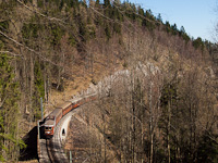 The 1099.013 seen between Winterbach and Puchenstuben on the Eierzeilgrabenviadukt