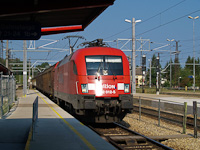 kép