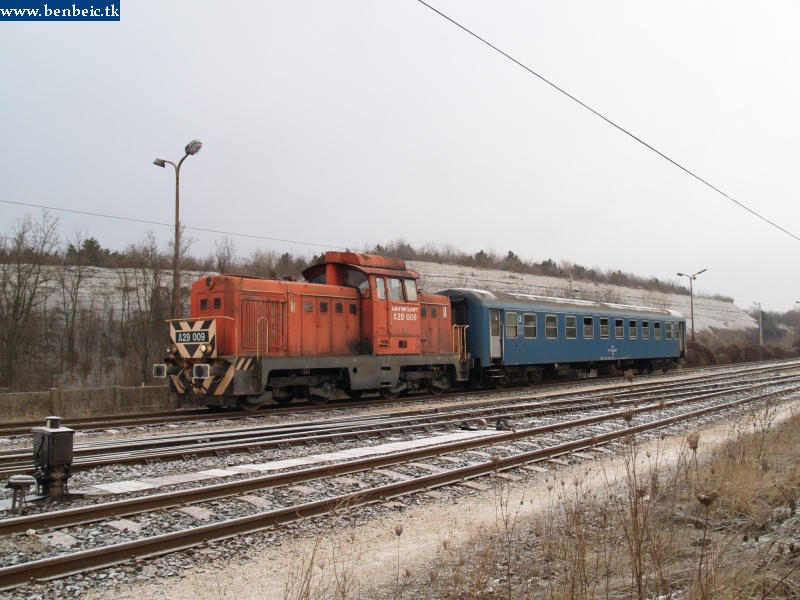 The A29 009 standing model in front of a snowy colline photo