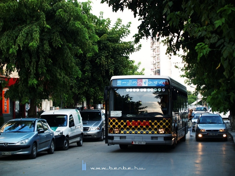 Srga-fekete pepita busz Elbasanban fot