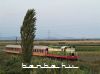 T669 1044 a Novoselë szünetelő megálló előtti útátjáróhoz közelít