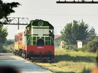 kép